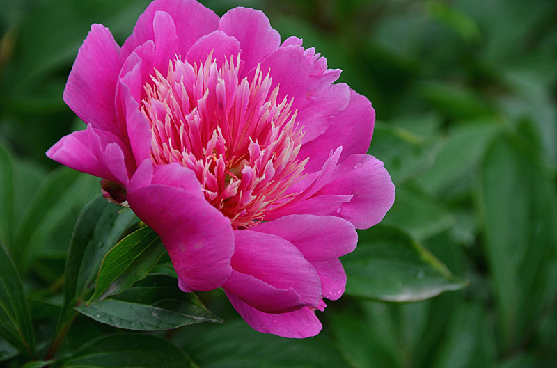 照片 032_副本.jpg