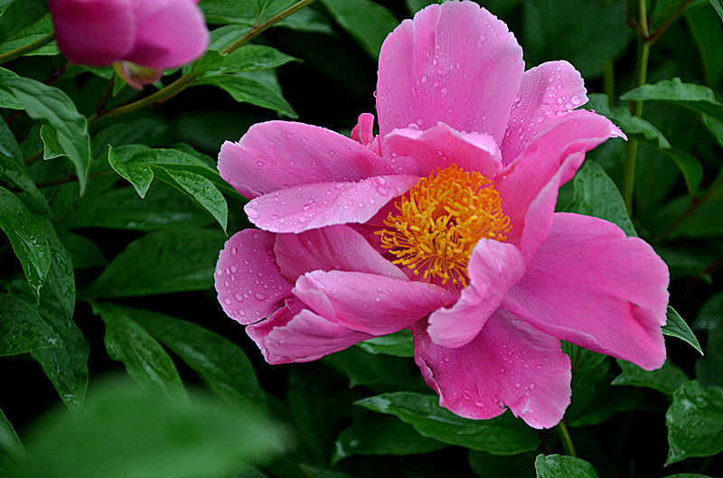 照片 050_副本.jpg