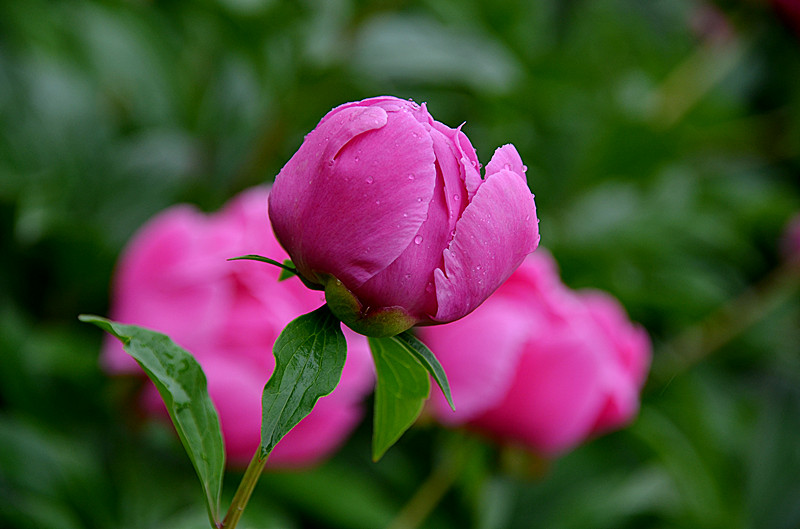 照片 045_副本.jpg