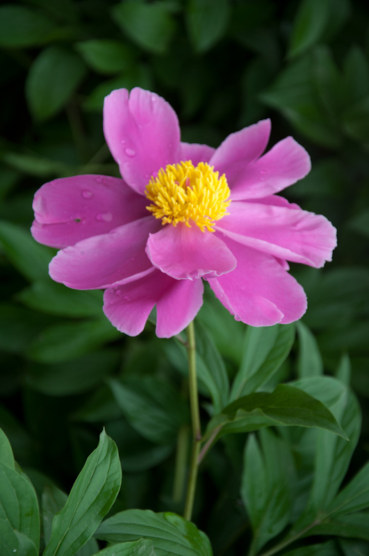 DSC_1383.jpg
