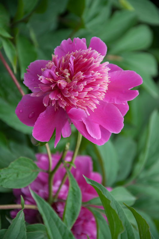 DSC_1345.jpg