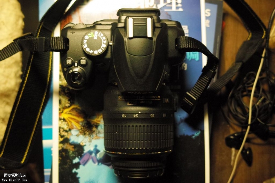 SDIM0017.JPG