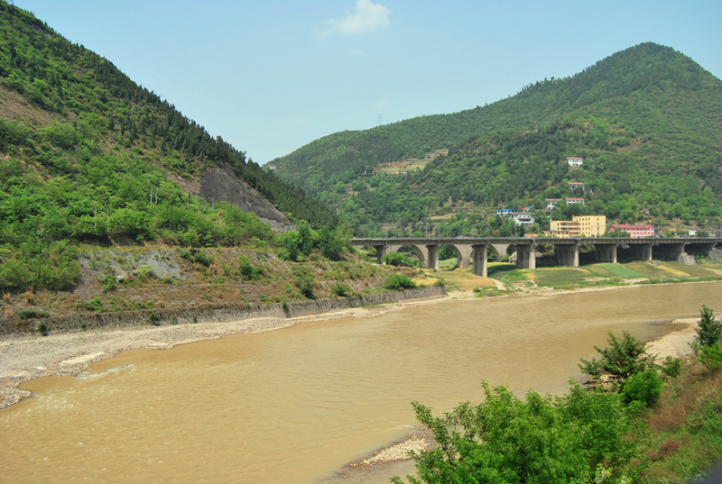 DSC_1610.jpg