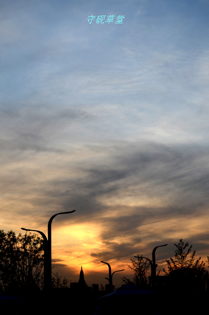 DSC_0223.jpg