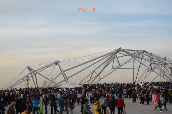 DSC_0204.jpg