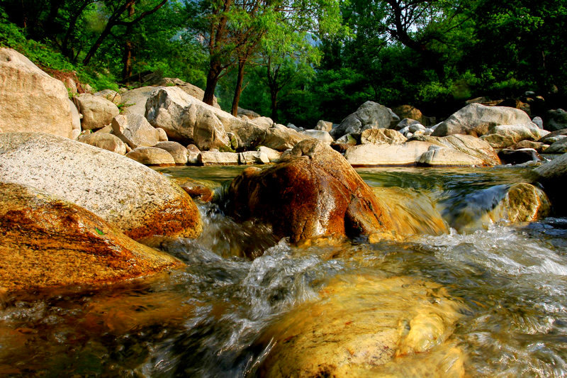 大峪与芍药 021.jpg