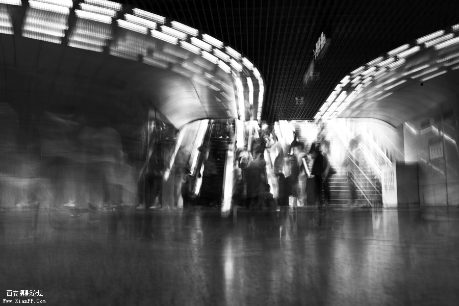 _MG_3404.jpg
