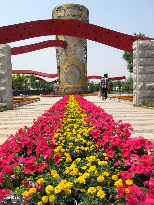 IMG_5680ab.jpg
