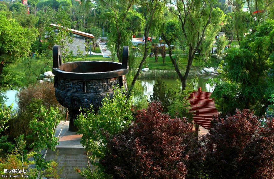 鼎盛春意兴世园【世园参赛作品】