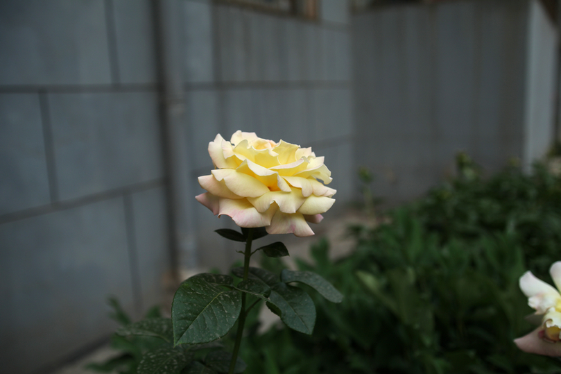 IMG_9141.jpg