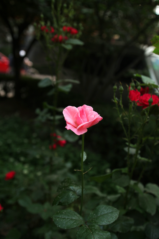 IMG_9144.jpg