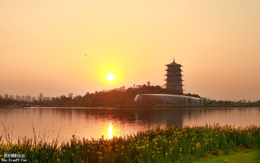 1夕晕湖光秀塔影【世园参赛作品】