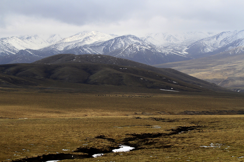 _MG_3804.jpg