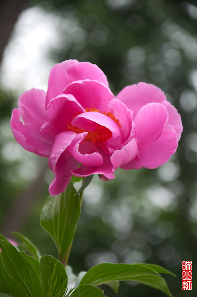 DSC_1401.jpg