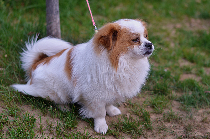 照片 005_副本.jpg