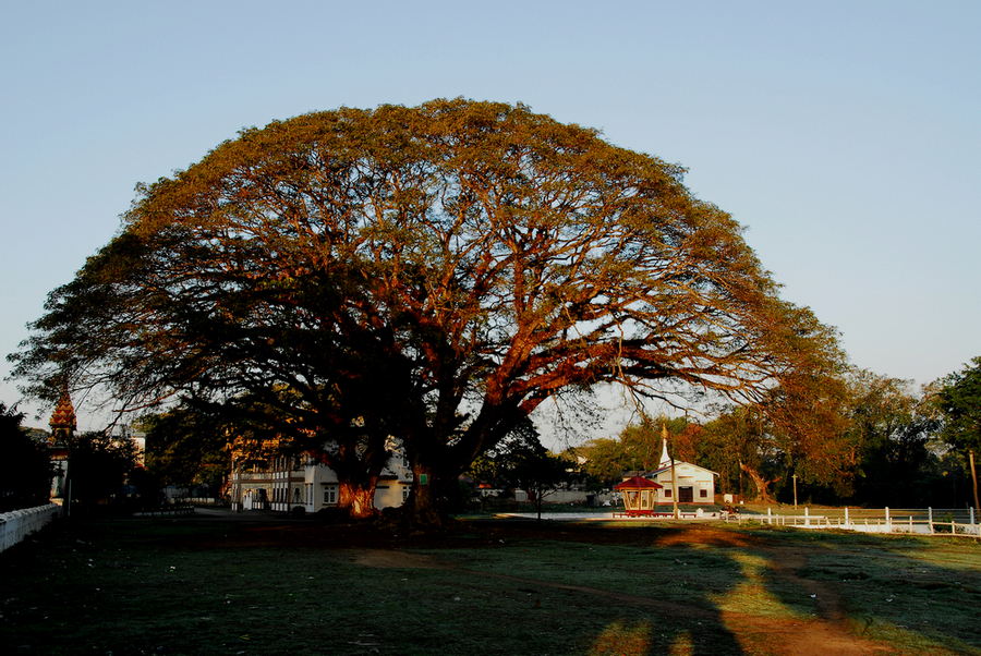 DSC_0105.JPG