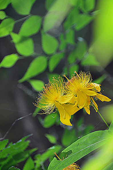 照片 122_副本.jpg