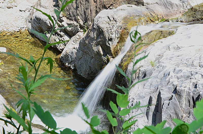 照片 134_副本.jpg