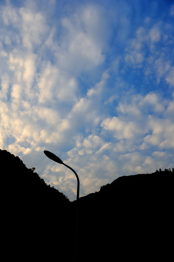 HOU_5228.jpg