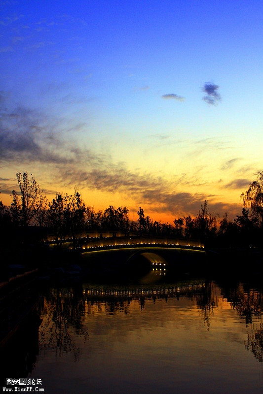 光彩夕阳   作者：廉龙_副本.jpg