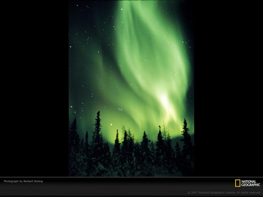 绿色的火焰 作者 Norbert Rosing.jpg