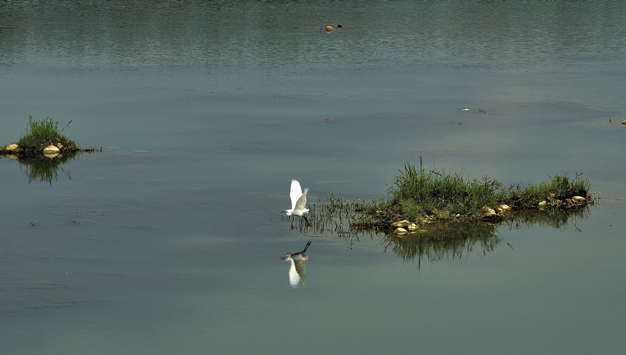 _DSC0062.jpg