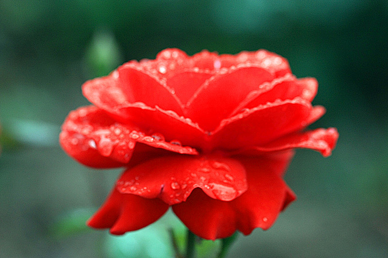 IMG_6687_副本.jpg