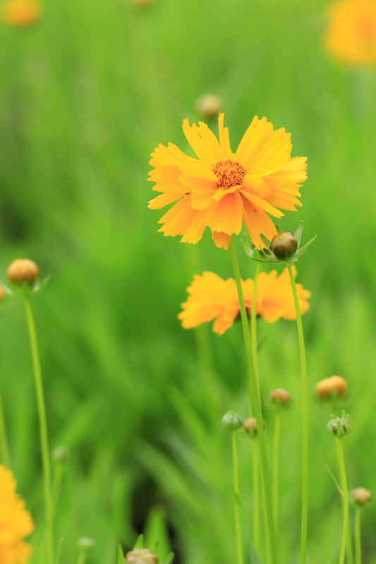 汉中随拍 215.jpg