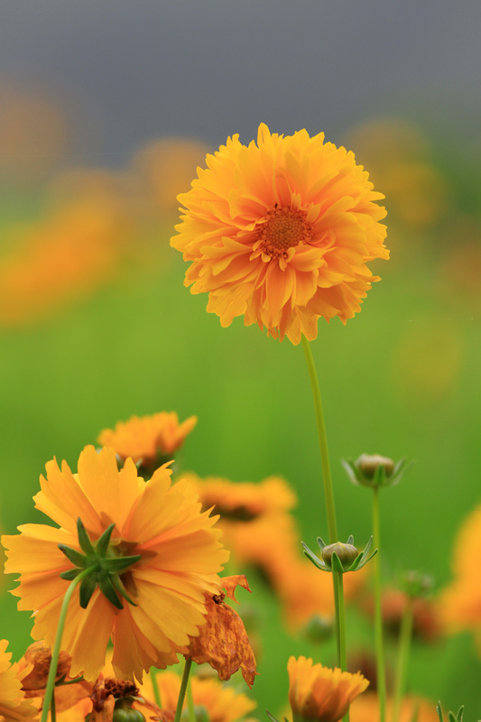 汉中随拍 220.jpg