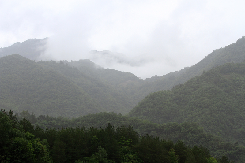 汉中随拍 172.jpg