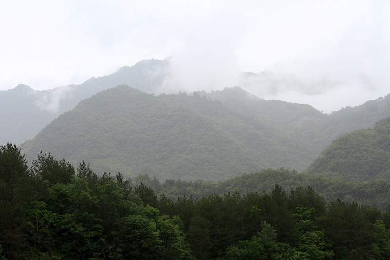 汉中随拍 173.jpg