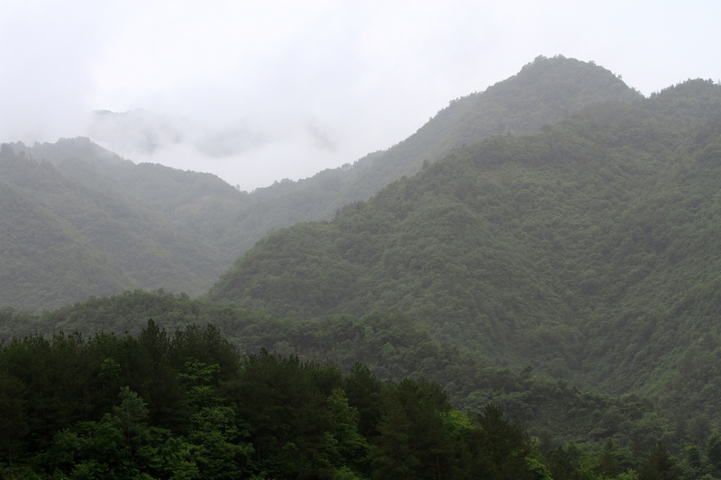 汉中随拍 174.jpg