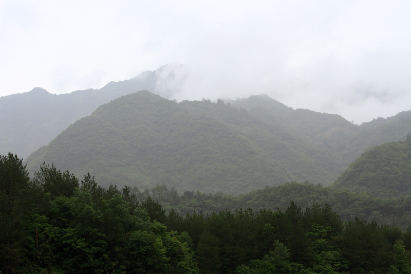 汉中随拍 179.jpg