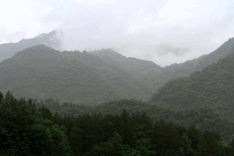 汉中随拍 180.jpg