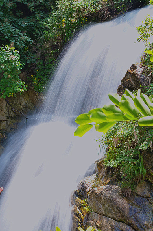 照片 002_副本_副本.jpg