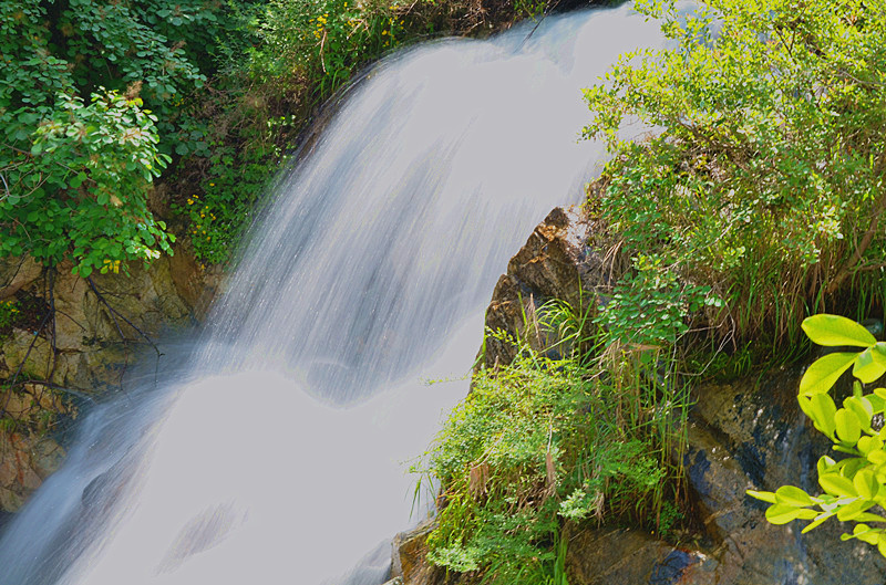 照片 003_副本_副本.jpg