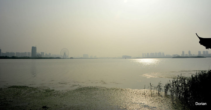 large_OjR9_7d71000007071260.jpg