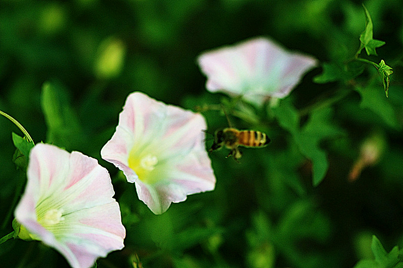 IMG_6555_副本.jpg