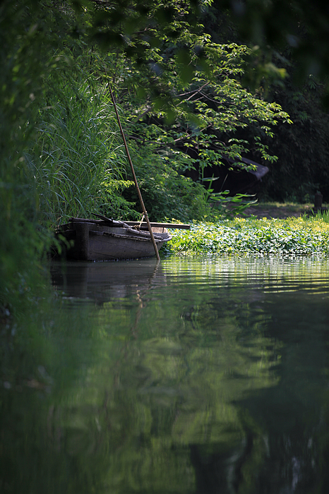 西溪湿地05.jpg