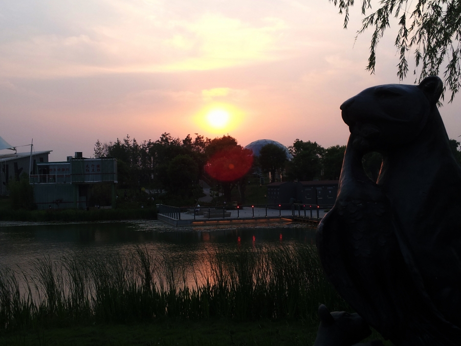 2012-05-19 19.04.18.jpg