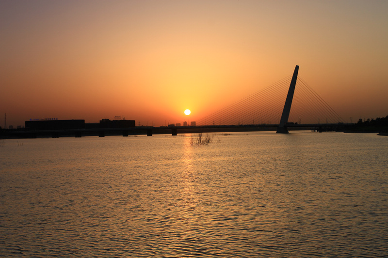 世博园拍摄 054.jpg