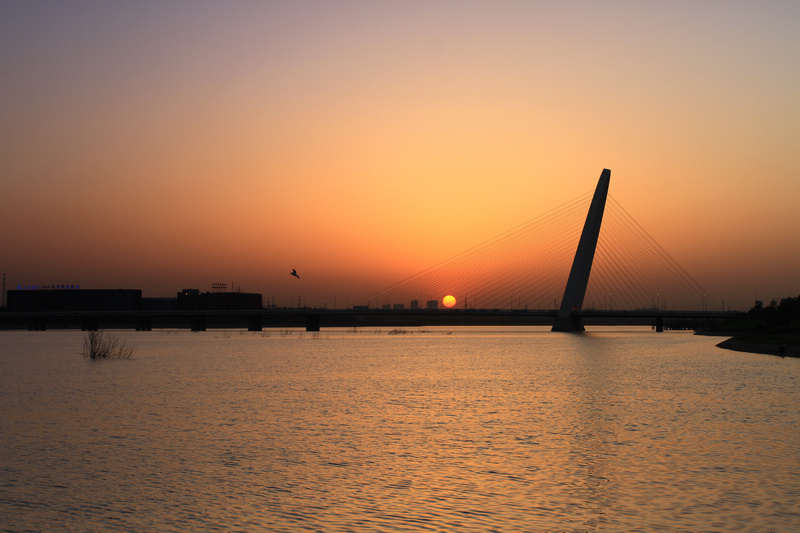 世博园拍摄 067.jpg