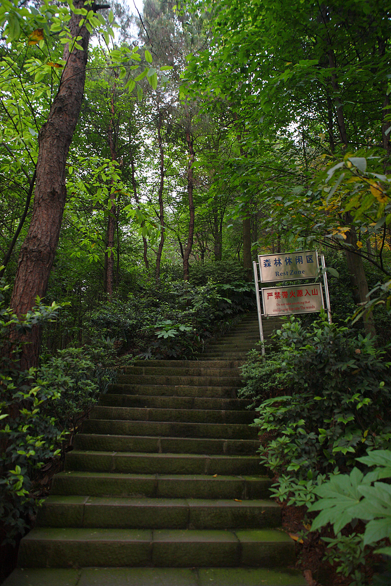 DPP_0061.JPG