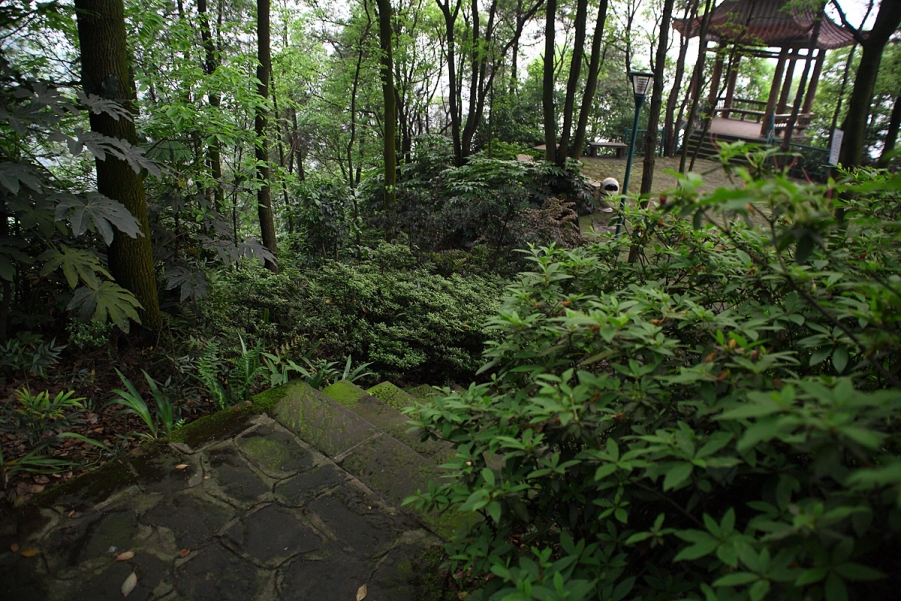 DPP_0070.JPG