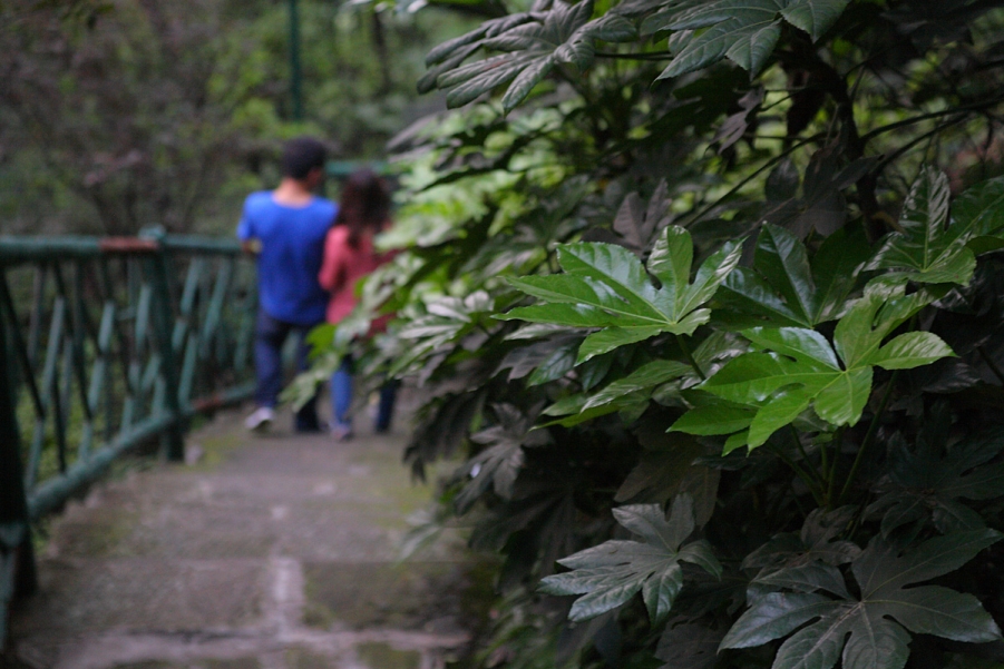 DPP_0077.JPG