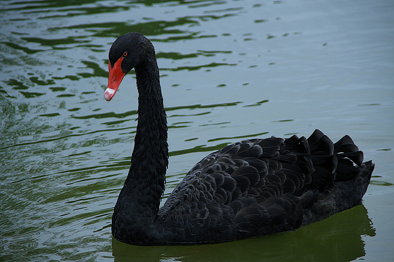 寒窑 099_副本.jpg