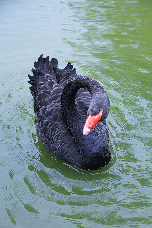 寒窑 112_副本.jpg