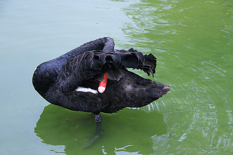 寒窑 117_副本.jpg