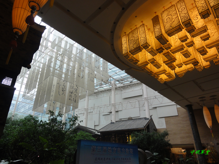 DSC00876.jpg