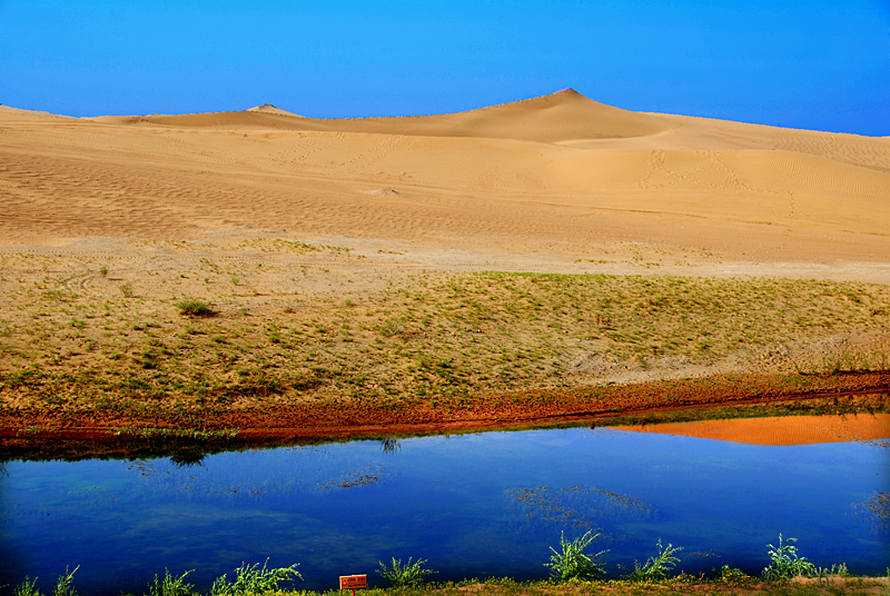 腾格里沙漠 (2).jpg